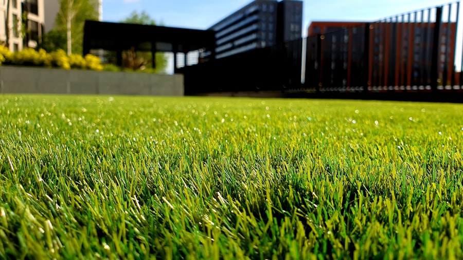 Freshly mowed lawn with trim lines