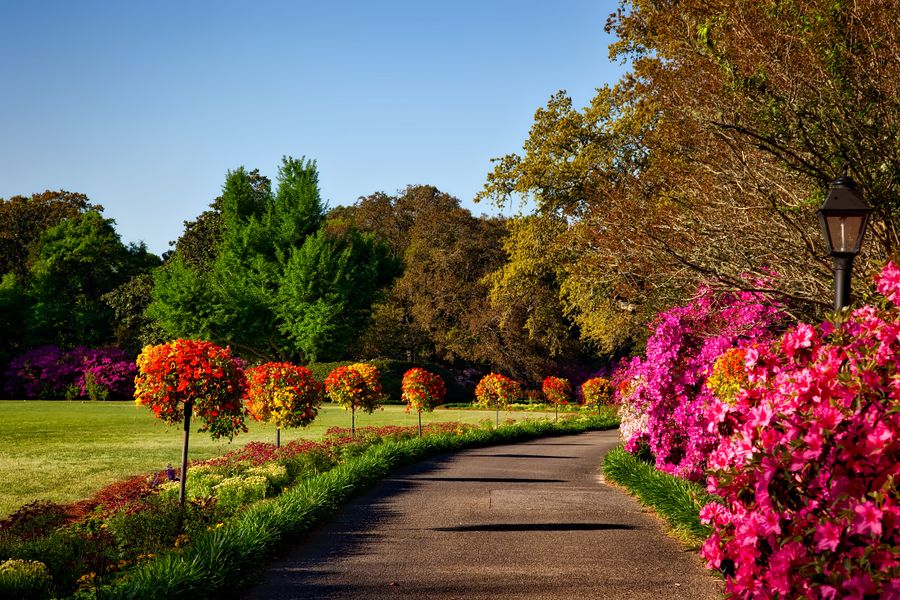 Landscaped garden beds with mulch and plantings